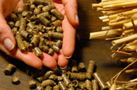 free Cornriggs biomass boiler quotes